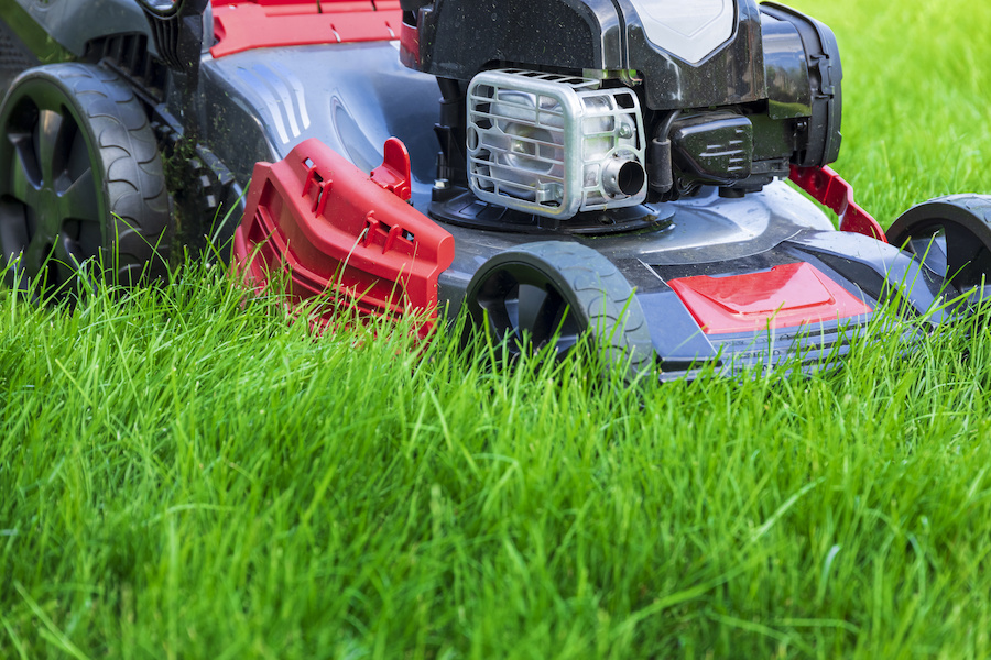 Lawn mower cutting green grass in backyard, mowing lawn