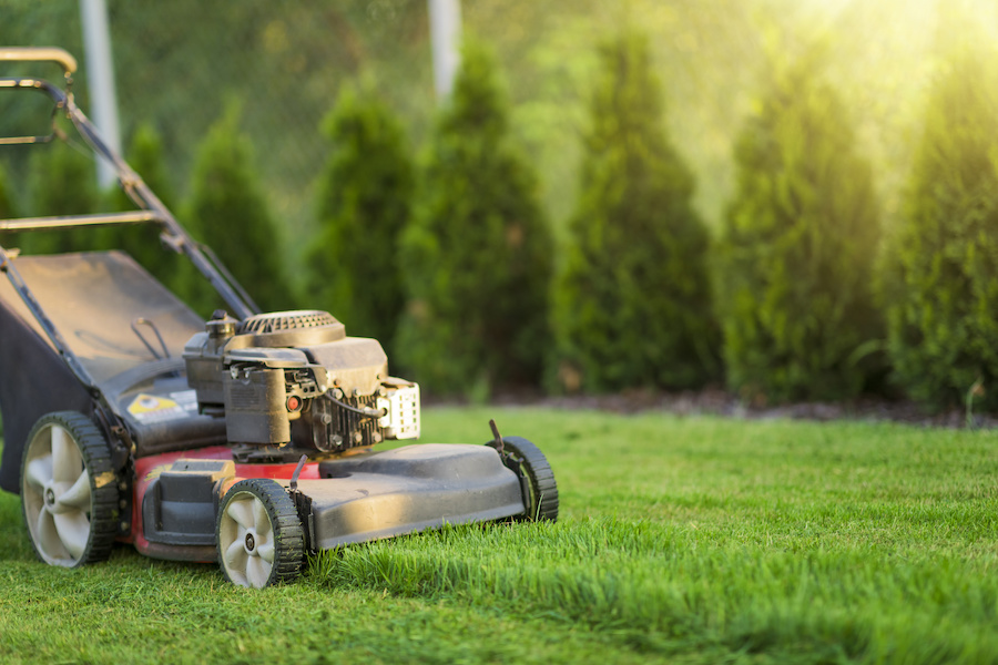 Lawn mower cutting green grass