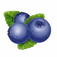 Blueberry