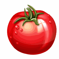 Tomato